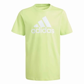 adidas - Kids' (Junior) Essentials Big Logo Colorblock T-Shirt (IJ6263)