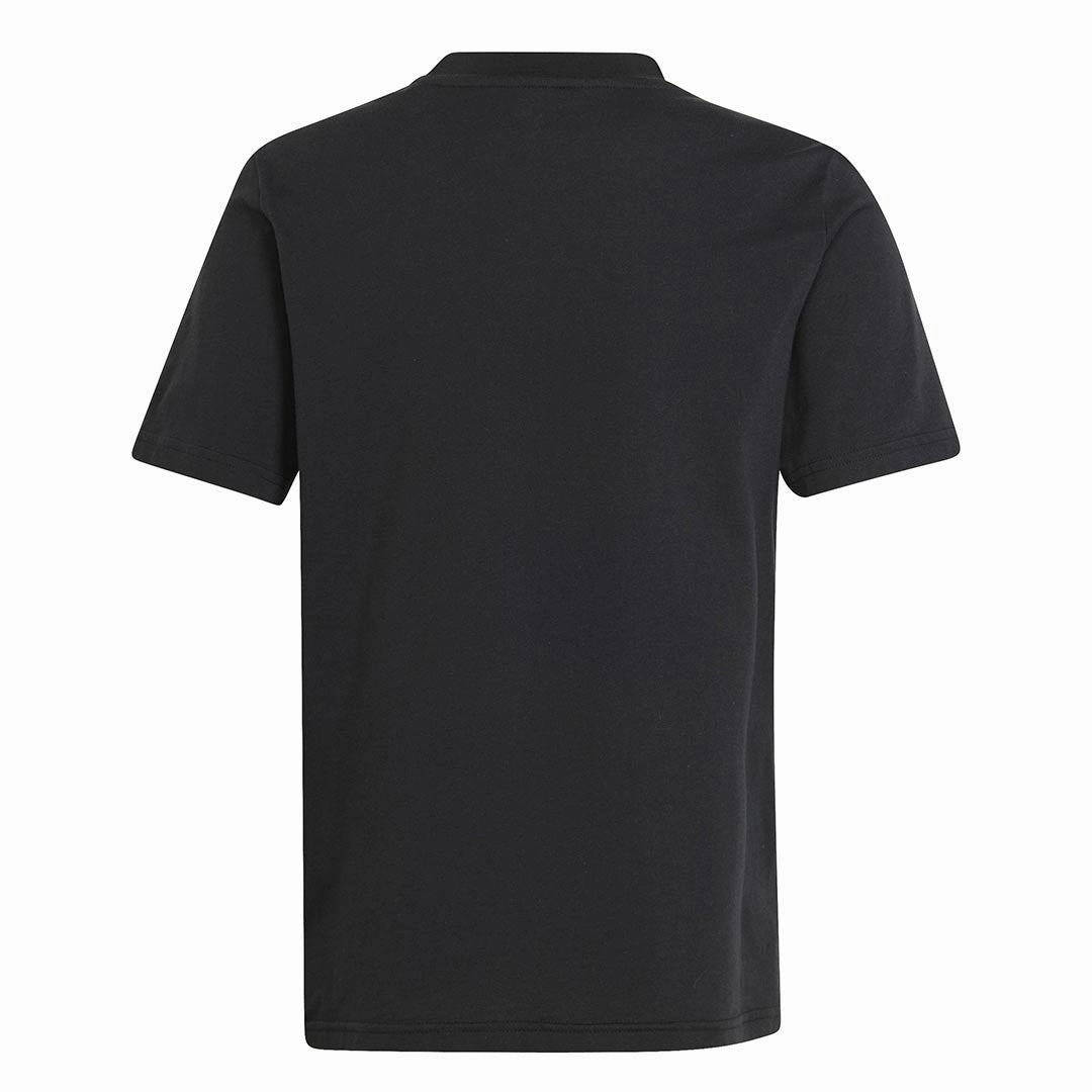 adidas - Kids' (Junior) Originals Adicolor T-Shirt (HK0401)