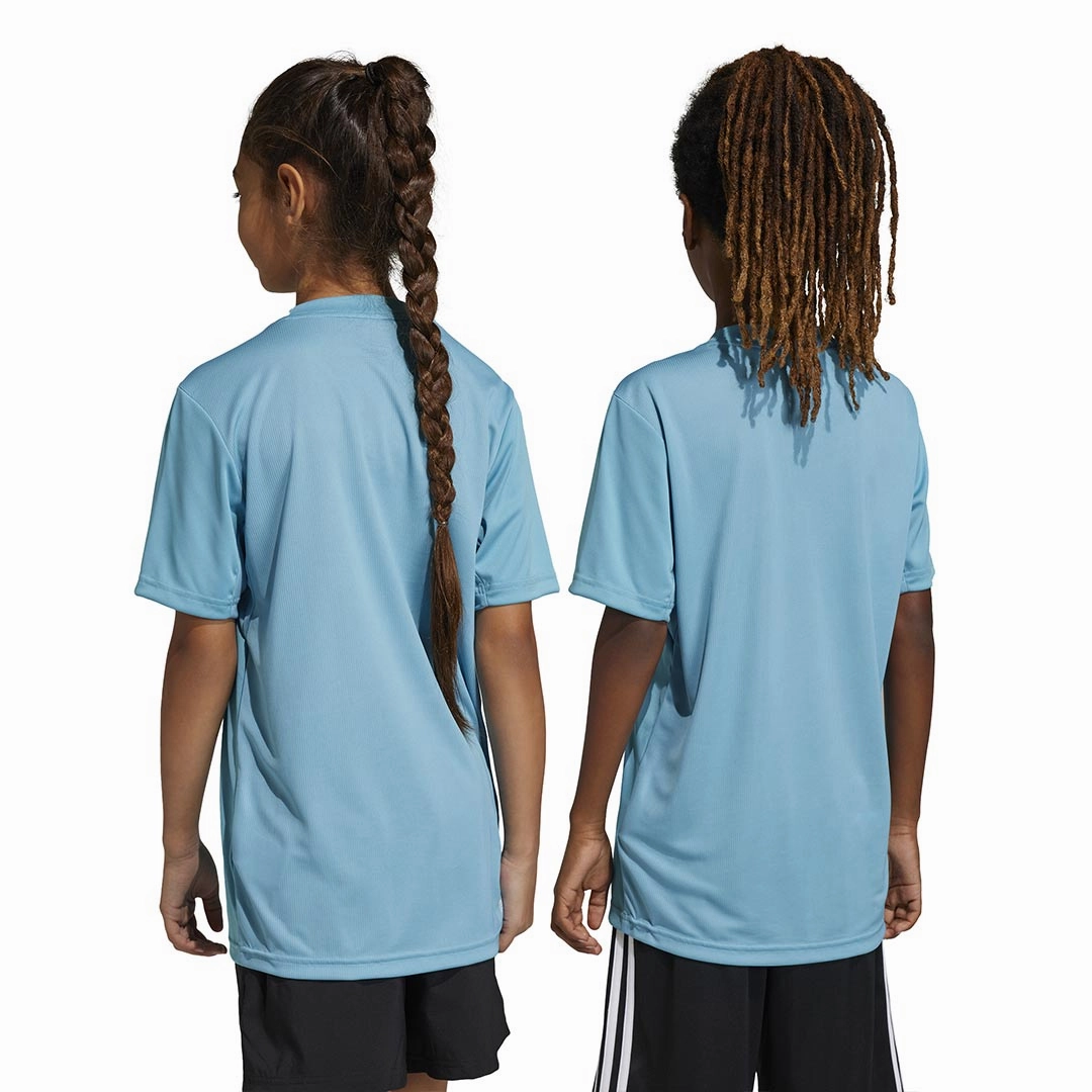 adidas - Kids' (Junior) Train Essentials Aeroready Logo T-Shirt (IC5661)