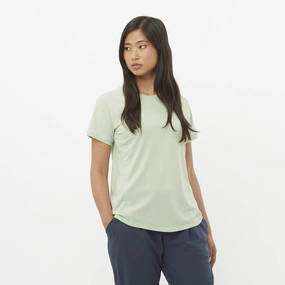 OUTLINE SS TEE WOMEN'S