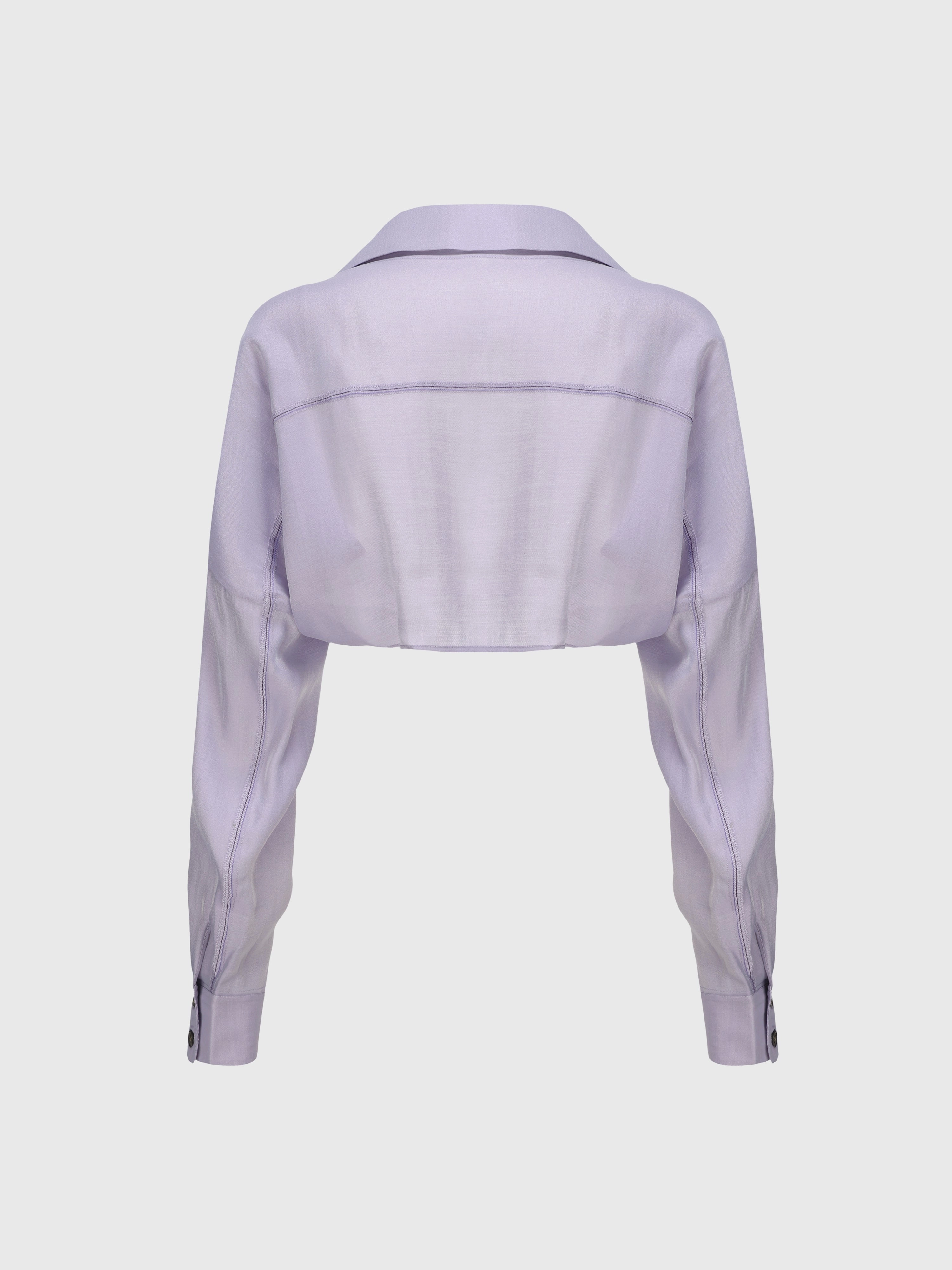 See-Through Crop Shirt
